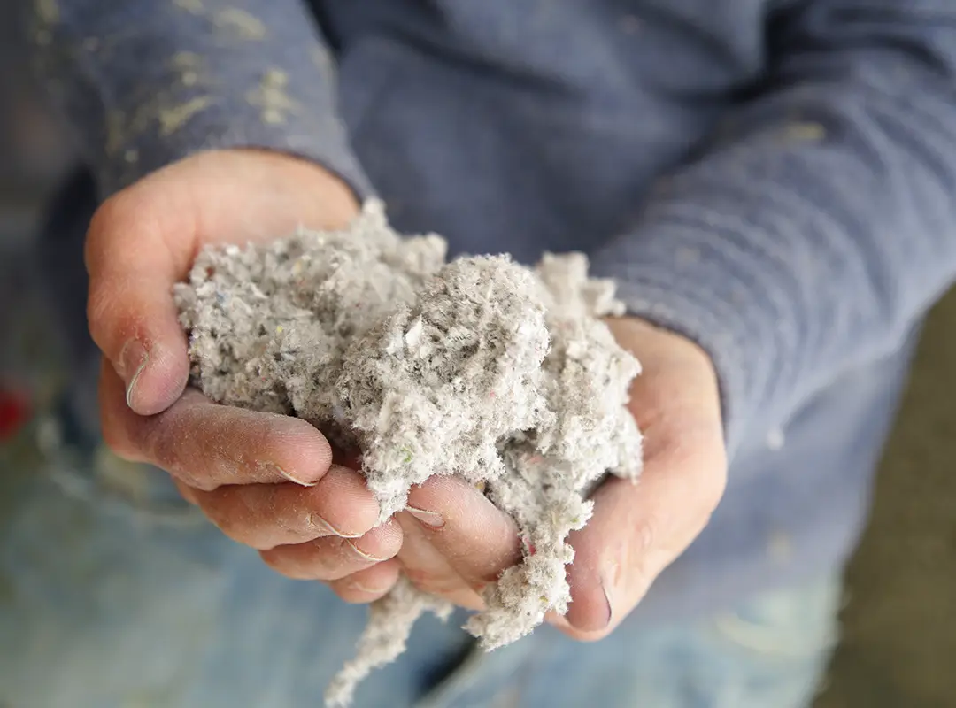 Isolation cellulose